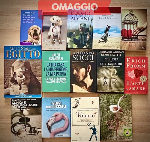 Stock lotto libri libro - lotto,