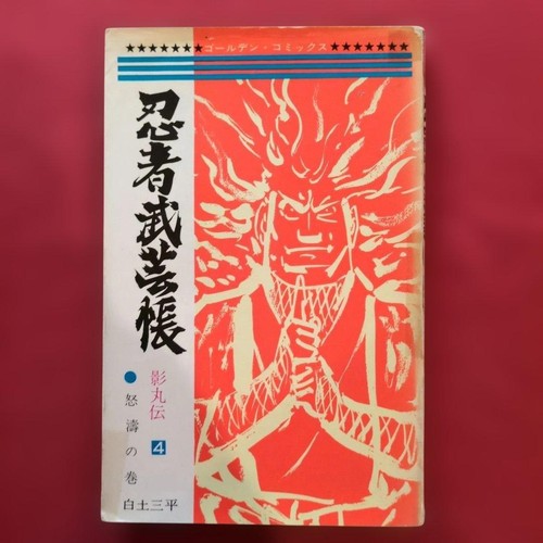 Libro arti marziali ninja - libro,