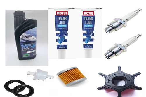 Kit manutenzione annuale 15cv - annuale,