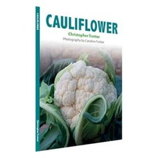 Cauliflower By Christopher