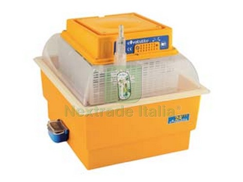 1pz incubatrice covatutto - covatutto, eco