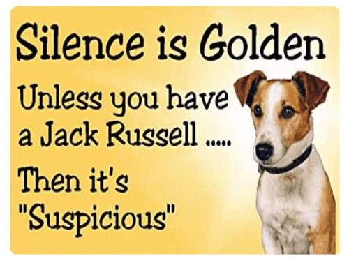Jack russell con citazione - con,