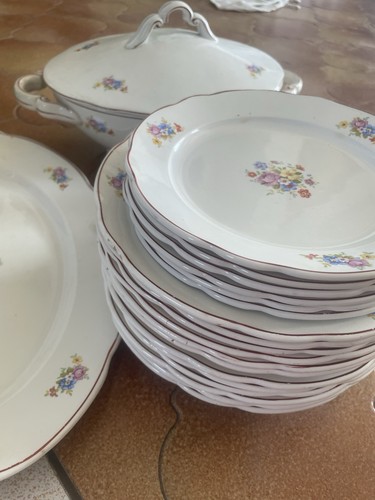 Società ceramica italiana - società,