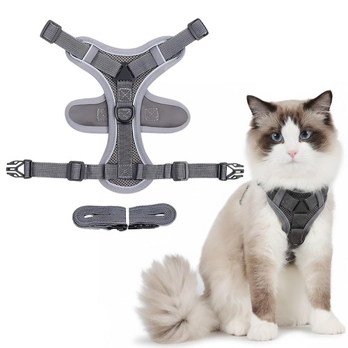 Luxorium pettorina gatto - luxorium,