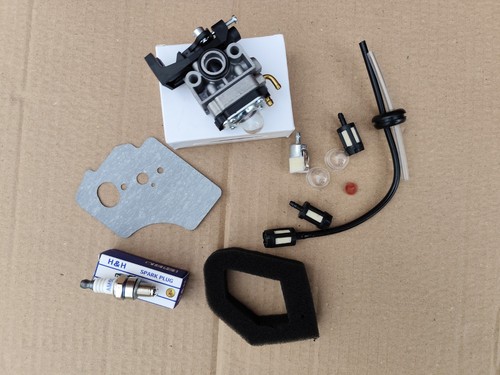 Offerta big kit carburatore - big,
