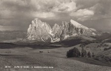 CARTOLINA  ALPE DI SIUSI