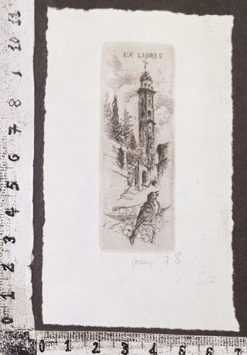 Wunderkammer exlibris 287 - wunderkammer,
