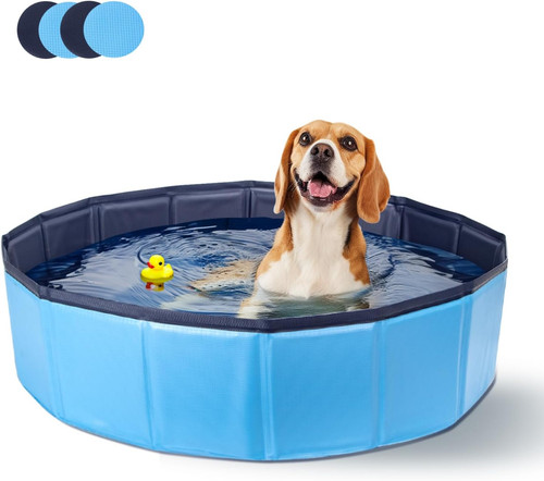 Piscina per cani grandi - piscina,