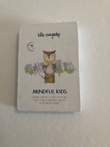 Little renegades mindful kids - renegades,
