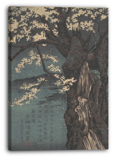 Tela cornice kobayashi - tela/cornice,