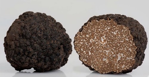 100 grammi tartufo - 100, nero