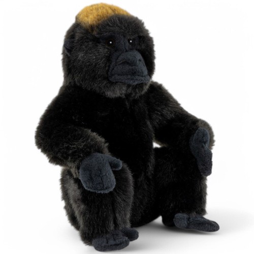 Gorilla seduto circa - , 23