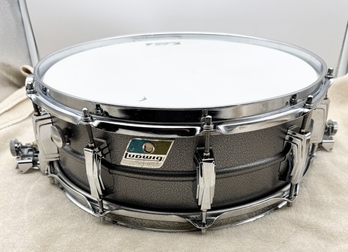 Distintivo ludwig 14 - distintivo, 5"