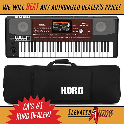 Korg pa700 oriental - oriental, 61-key
