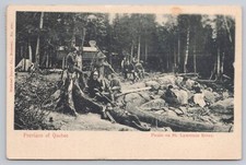 Picnic on St. Lawrence River