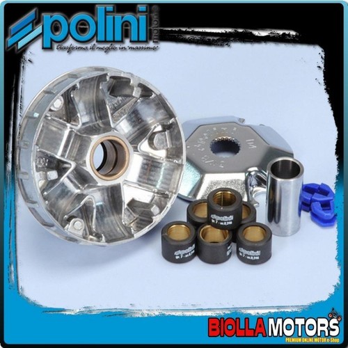 241 363 variatore - 241.363, polini