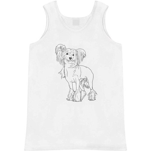 Chinese crested dog adult - 'chinese,