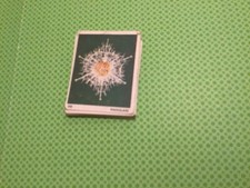 PANINI IL MONDO DEGLI ANIMALI 22  FIGURINE NUOVE COME DA FOTO