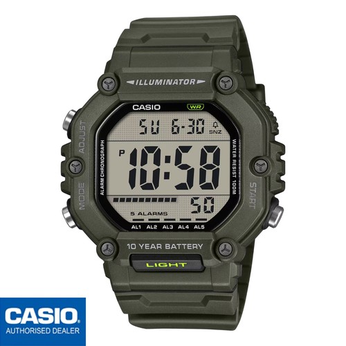 CASIO
