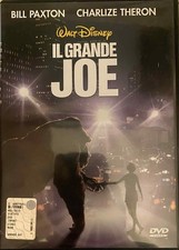 IL GRANDE JOE RARO DVD Disney