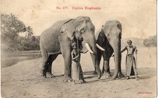 Lotto 7 Cartoline d'epoca Paesaggistiche ESTERE - Primo 900