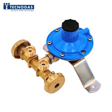 Minicentralina GPL per 2