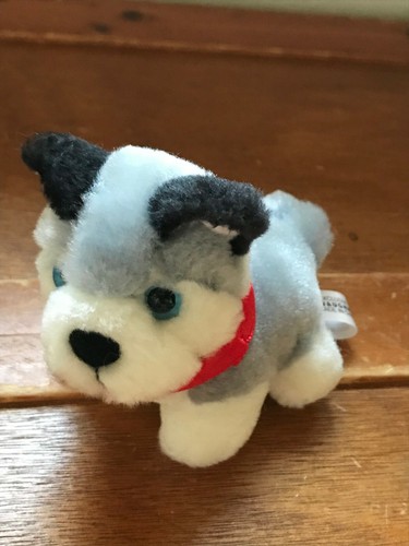 Peluche piccolo cane - , husky