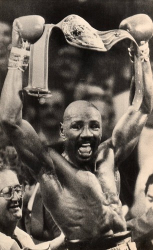 American professional champ - professional,