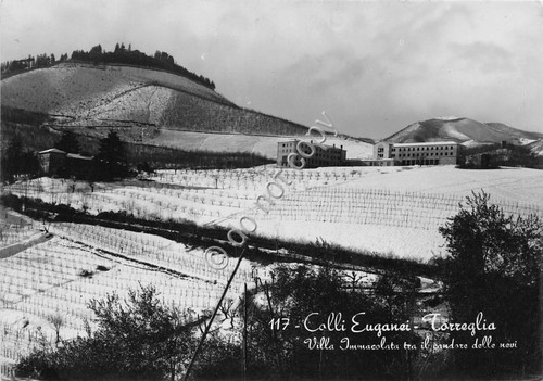 Cartolina torreglia colli - -,