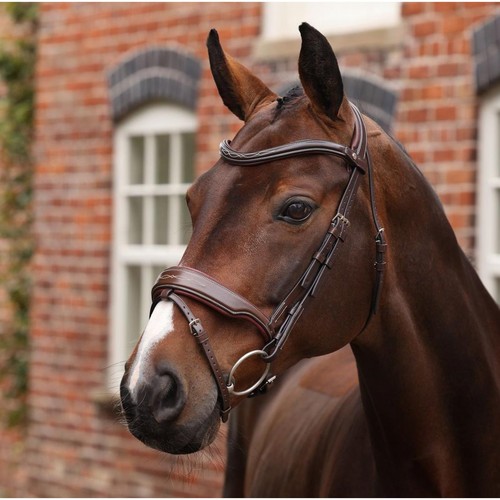 Shires velociti lusso - shires,