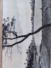 Cartolina Antica Sabaudia