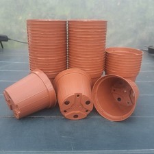 50x VASI PLASTICA cm Ø 8 x H 7,3 x L 0,22 SEMINA GERMINAZIONE PIANTINE CACTUS