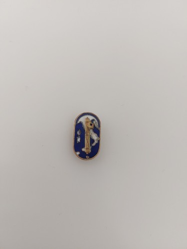 Distintivo anni lorioli - 30,