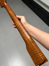 Suhr Acciaio Inox 22fret