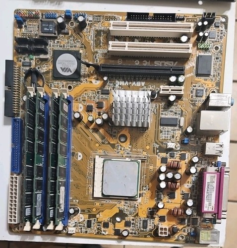 Rara scheda madre asus - scheda,