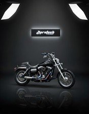 Scarico 2013 Harley-Davidson