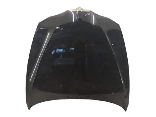 Cofano anteriore 60693995 alfa - anteriore,