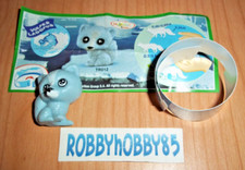 TR012 VOLPE + CARTINA/BPZ