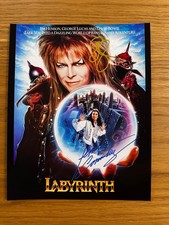 Foto film firmata labirinto 8