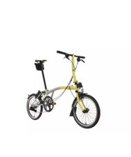 Skateboard Palace sigillati X