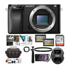 Sony Alpha a6100 APS-C