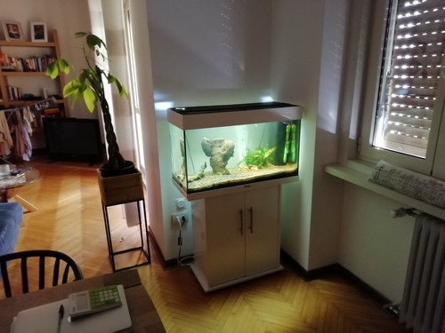 Juwel acquario rio - 112, litri