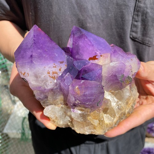 1300g ametista naturale geode - ametista,