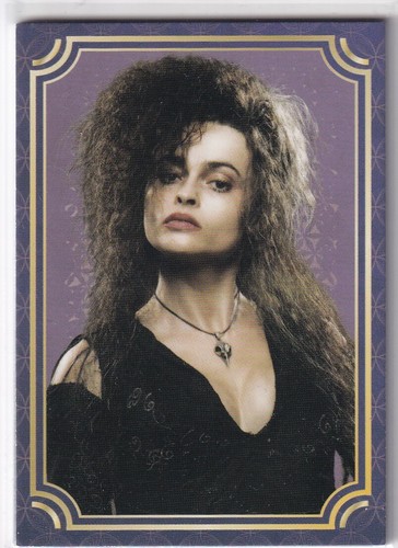 Panini harry potter evoluzione - harry,