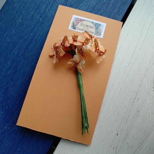 Fiori farfalle pesca - pesca, (b)