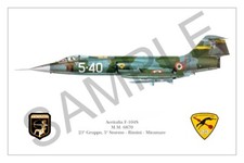 F-104S Squadron Print - Poster