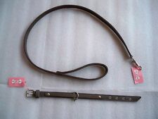 FOR PETS ONLY OFFERTA