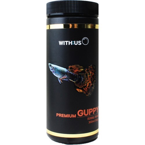 Premium guppy fish - guppy, food,