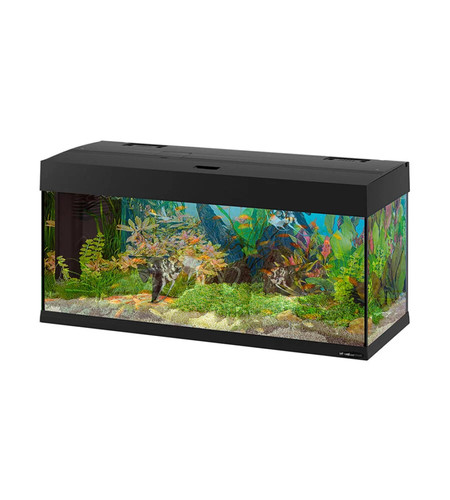 Acquario dubai 100 nero con - acquario,