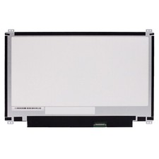 Asus ChromeBook C204MA